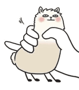 baa
